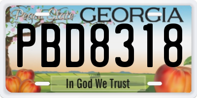 GA license plate PBD8318