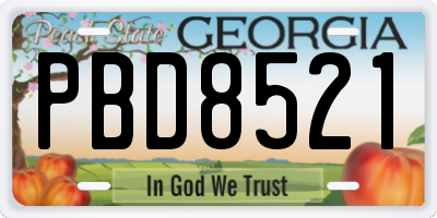 GA license plate PBD8521