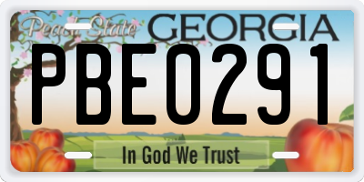 GA license plate PBE0291