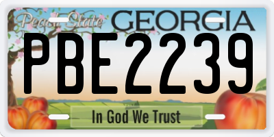 GA license plate PBE2239