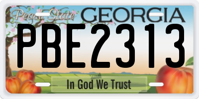 GA license plate PBE2313