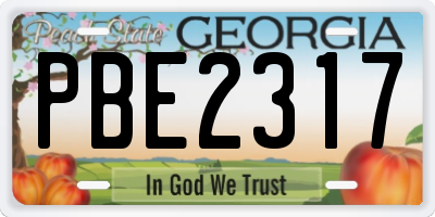 GA license plate PBE2317