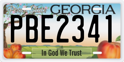 GA license plate PBE2341