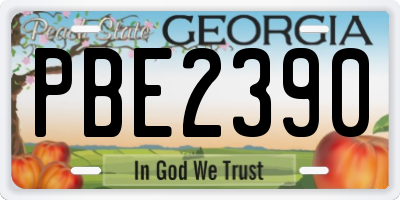 GA license plate PBE2390