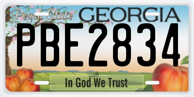 GA license plate PBE2834