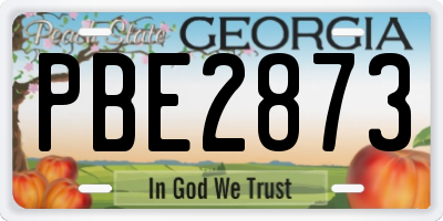 GA license plate PBE2873
