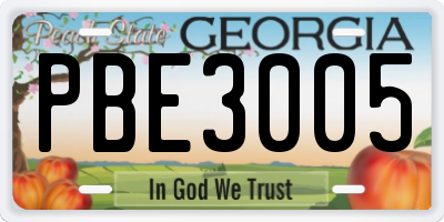 GA license plate PBE3005