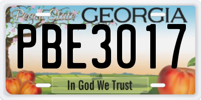 GA license plate PBE3017