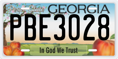 GA license plate PBE3028