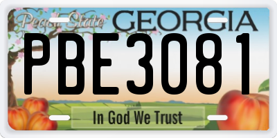 GA license plate PBE3081