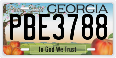 GA license plate PBE3788