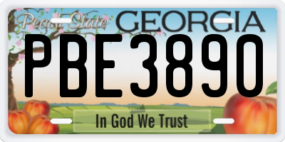 GA license plate PBE3890