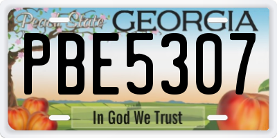 GA license plate PBE5307
