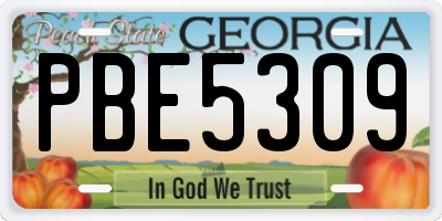 GA license plate PBE5309