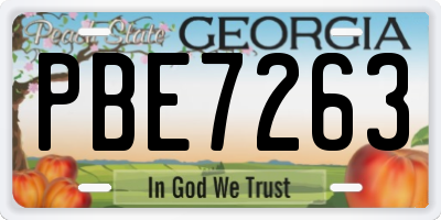 GA license plate PBE7263