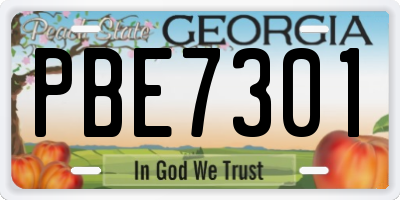 GA license plate PBE7301