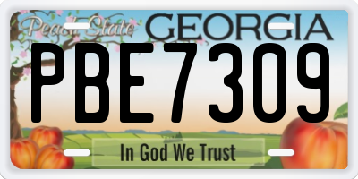 GA license plate PBE7309