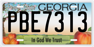GA license plate PBE7313