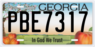 GA license plate PBE7317