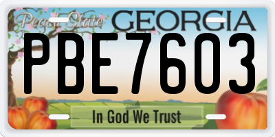 GA license plate PBE7603