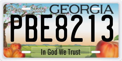 GA license plate PBE8213