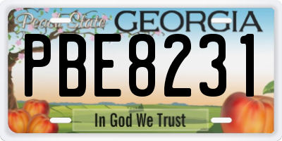 GA license plate PBE8231