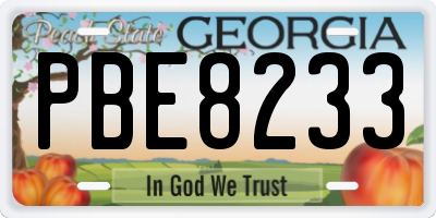 GA license plate PBE8233