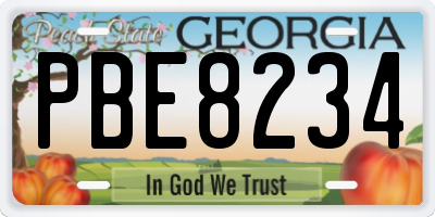 GA license plate PBE8234