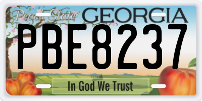 GA license plate PBE8237