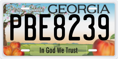 GA license plate PBE8239