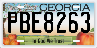 GA license plate PBE8263