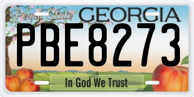 GA license plate PBE8273