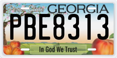 GA license plate PBE8313