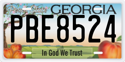GA license plate PBE8524