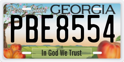 GA license plate PBE8554