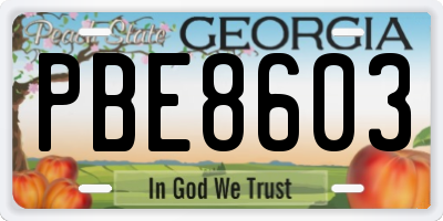 GA license plate PBE8603