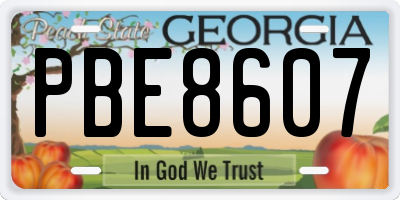 GA license plate PBE8607