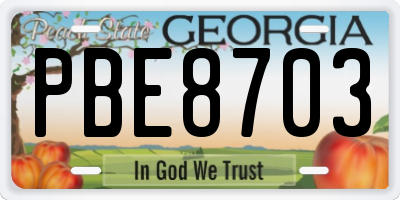 GA license plate PBE8703