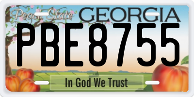 GA license plate PBE8755