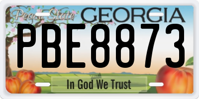 GA license plate PBE8873