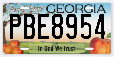 GA license plate PBE8954