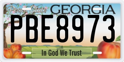 GA license plate PBE8973