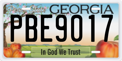 GA license plate PBE9017