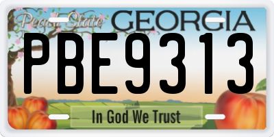 GA license plate PBE9313