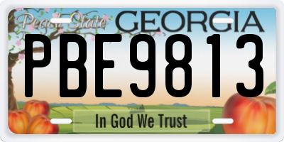 GA license plate PBE9813