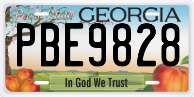 GA license plate PBE9828
