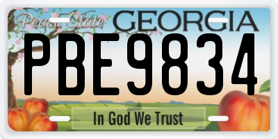 GA license plate PBE9834
