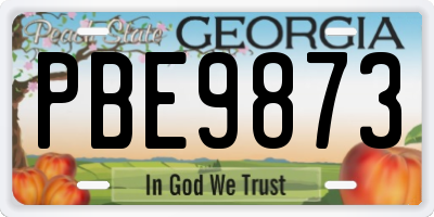 GA license plate PBE9873