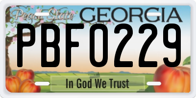 GA license plate PBF0229