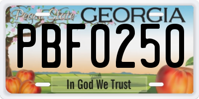 GA license plate PBF0250